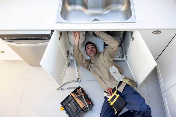Best Clogged Drain Plumber  in Mukwonago, WI
