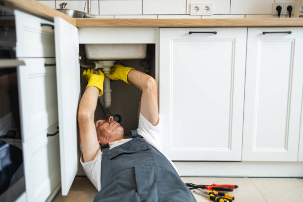 Best Leak Detection Services  in Mukwonago, WI